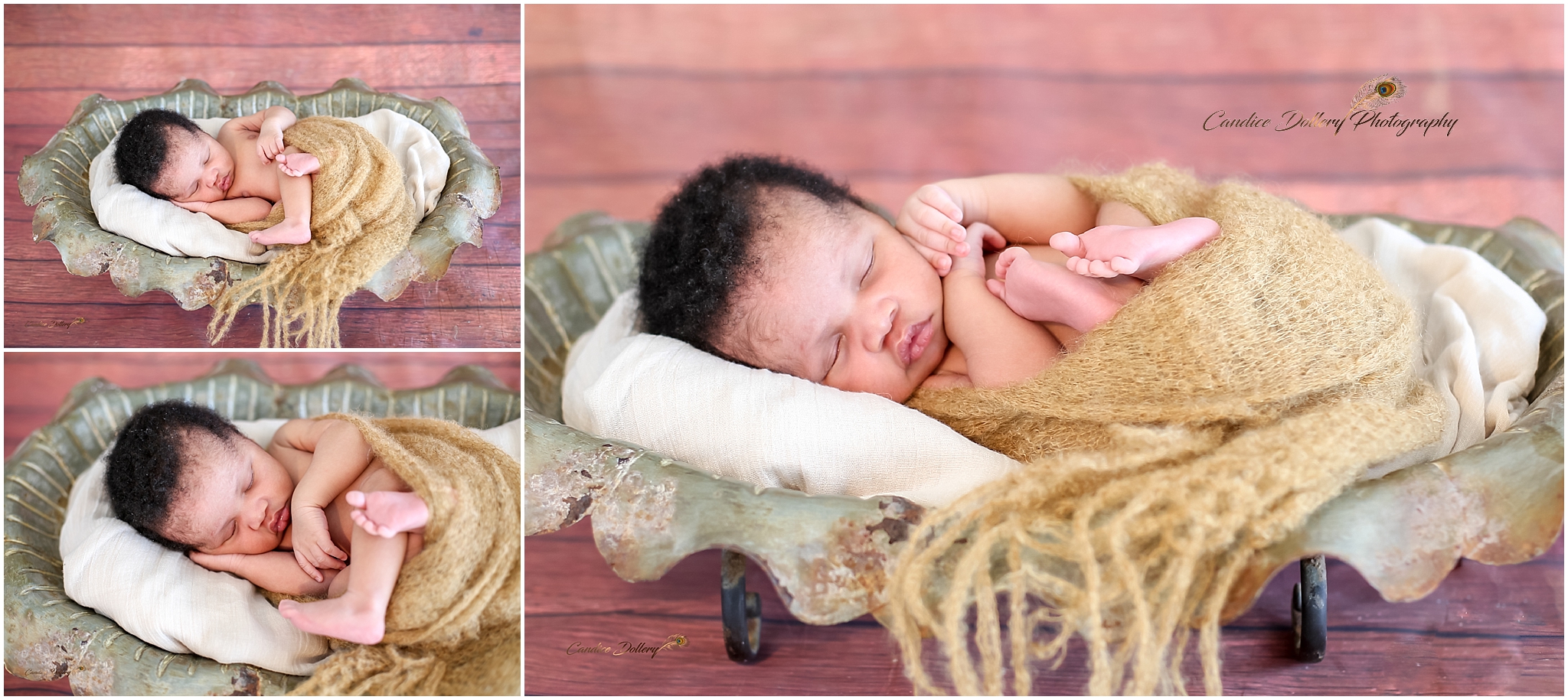 newborn Zihle - Candice Dollery Photography_1903