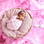 A world of wonders all wrapped in a bundle